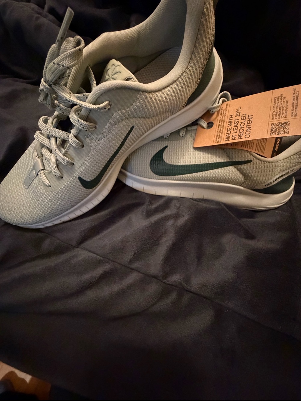 Nike Women’s Flex Experience Run 12 — Light Green with Dark Green Swoosh